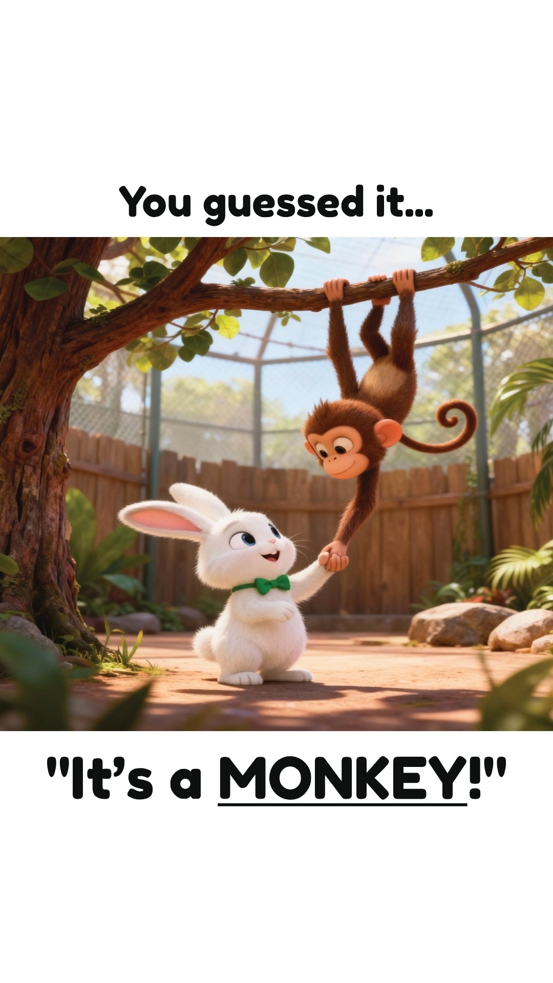 Addy the Bunny Rabbit: Let’s Go to the Zoo